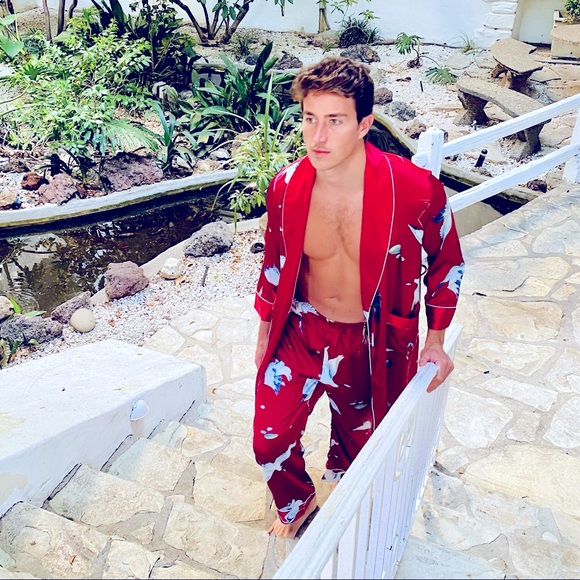 Satin Red Bird Print Robe and Pant Set - Picture 3 of 8